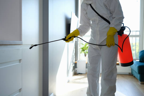 Best Residential Mold Removal  in USA